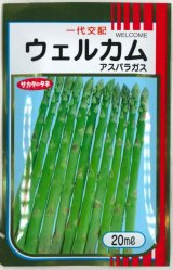 画像: 送料無料　[アスパラガス]　ウェルカム　20ml　(株)サカタのタネ