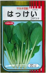 画像: 送料無料　[小松菜]　はっけい　20ml　（株）サカタのタネ