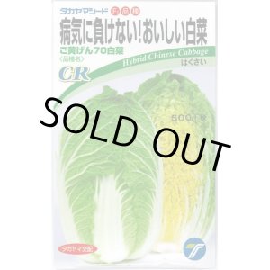 画像: 送料無料　[白菜]　ご黄げん70　小袋　(株)タカヤマシード