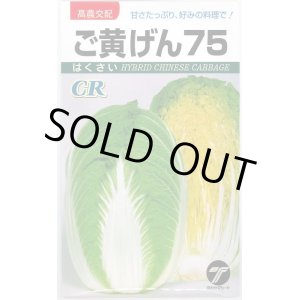 画像: 送料無料　[白菜]　ご黄げん75　10ml　(株)タカヤマシード