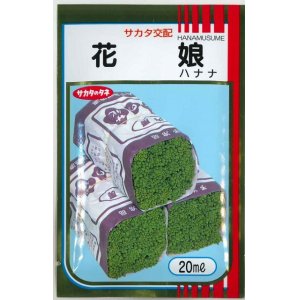 画像: 送料無料　[葉物]　ハナナ　花娘　20ml　（株）サカタのタネ