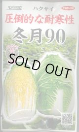 画像: 送料無料　[白菜]　冬月90　ペレット150粒　（株）サカタのタネ