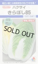 画像: 送料無料　[白菜]　きらぼし85　20ml　タキイ種苗(株)