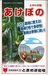 画像: 送料無料　[キュウリ]　あけぼの　20粒　(株)ときわ研究場