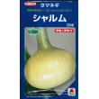 画像1: 送料無料　[たまねぎ]　シャルム　20ml　タキイ種苗(株) (1)