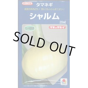 画像: 送料無料　[たまねぎ]　シャルム　20ml　タキイ種苗(株)