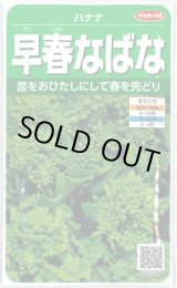 画像: 送料無料　早春なばな　約850粒　(株)サカタのタネ