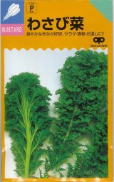 画像: 送料無料　[葉物]　わさび菜　6ml(およそ2600粒)　中原採種場(株)