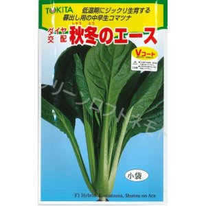 画像: 送料無料　[小松菜]　秋冬のエース　10ml　トキタ種苗(株)