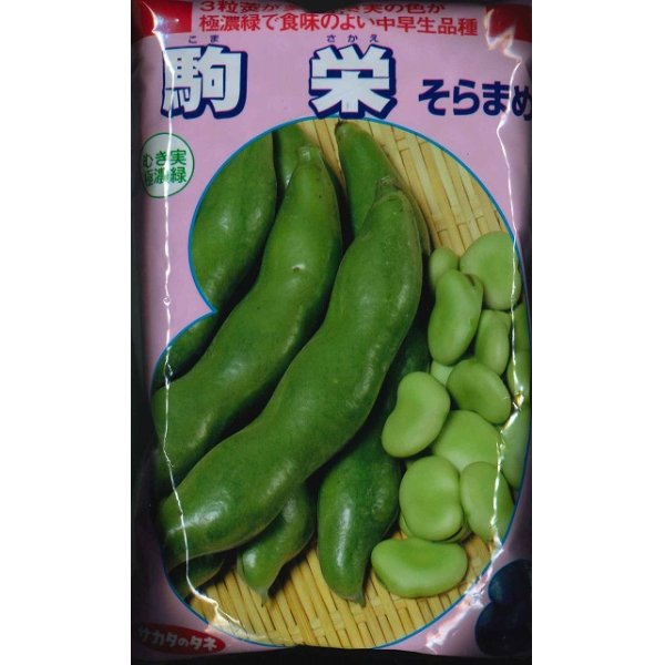 そら豆] 駒栄 1L（およそ260粒） サカタのタネ（株）(野菜種