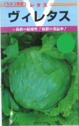 画像: 送料無料　[レタス]　ヴィレタス　20ml　カネコ育成