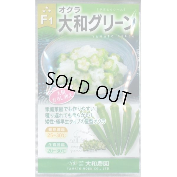 画像1: 送料無料　[オクラ]　大和グリーンオクラ　20ml　大和農園 (1)