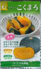 画像: 送料無料　[かぼちゃ]　こくまろ　10粒　大和農園