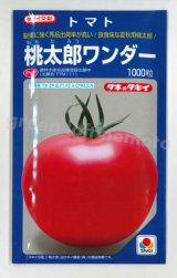 画像: 送料無料　[トマト/桃太郎系]　桃太郎ワンダー　1000粒　タキイ種苗(株)