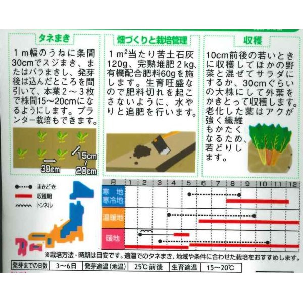 画像2: 送料無料　[葉物]　アイデアル(スイスチャード)　20ml　(株)サカタのタネ (2)