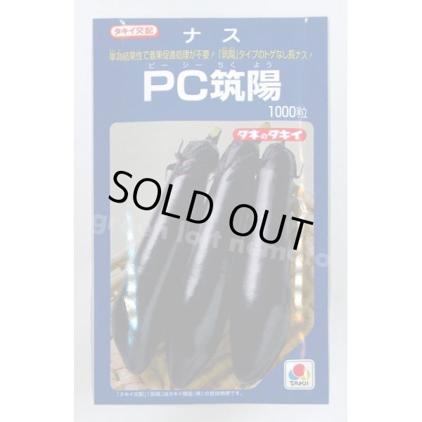 画像1: 送料無料　[なす]　PC筑陽　1000粒　タキイ種苗(株) (1)