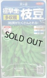 画像: 送料無料　[枝豆]　天ヶ峰　約50粒　(株)サカタのタネ　実咲250（003150）