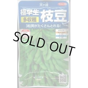 画像: 送料無料　[枝豆]　天ヶ峰　約50粒　(株)サカタのタネ　実咲250（003150）