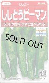 画像: 送料無料　[ピーマン]　ししピー　約20粒　(株)サカタのタネ　実咲550（002906）