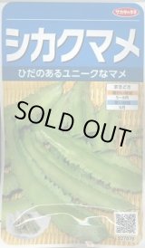 画像: 送料無料　[豆類]　シカクマメ　約20粒　(株)サカタのタネ　実咲350（003127）