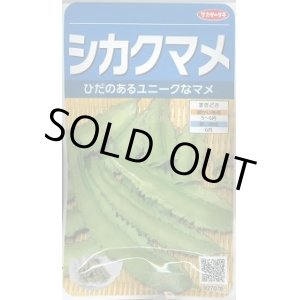 画像: 送料無料　[豆類]　シカクマメ　約20粒　(株)サカタのタネ　実咲350（003127）