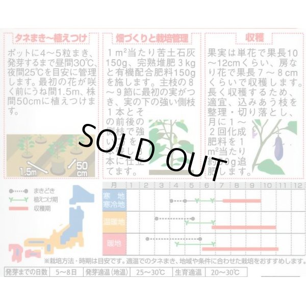 画像2: 送料無料　[なす]　ごちそうなす　500粒　(株)サカタのタネ (2)