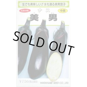 画像: 送料無料　[なす]　美男　0.4ml(およそ60粒)　(株)渡辺採種場