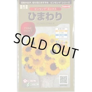 画像: 送料無料　花の種　ひまわり　ビンセント　ミックス　40粒　(株)サカタのタネ　実咲500（026388）