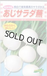 画像: 送料無料　[かぶ]　あじサラダ蕪　3.5ml　松永種苗(株)