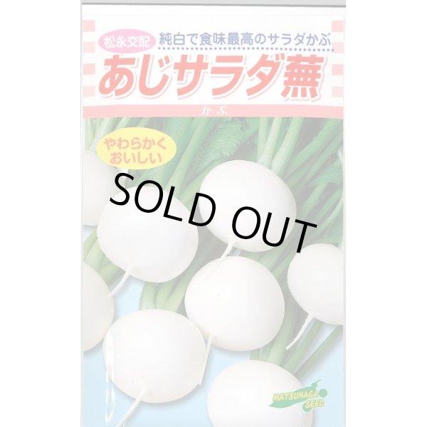 画像1: 送料無料　[かぶ]　あじサラダ蕪　3.5ml　松永種苗(株) (1)