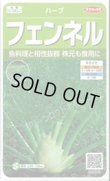 画像: 送料無料　[ハーブの種]　フェンネル　約120粒　(株)サカタのタネ　実咲（003189）