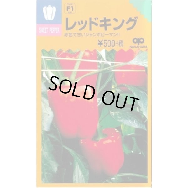 画像1: 送料無料　[ピーマン]　ジャンボピーマン　レッドキング　15粒　中原採種場(株) (1)