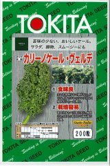 画像: 送料無料　[葉物]　ケール　カリーノケール・ヴェルデ　200粒　トキタ種苗(株)