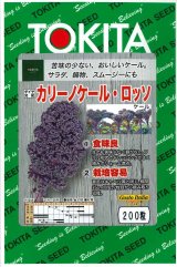 画像: 送料無料　[葉物]　ケール　カリーノケール・ロッソ　200粒　トキタ種苗(株)