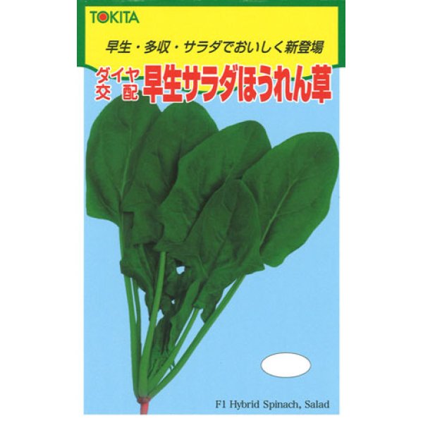 画像1: 送料無料　[ほうれんそう]　早生サラダほうれんそう　1dl　トキタ種苗(株) (1)