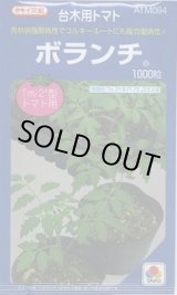 画像: 送料無料　[台木/トマト用]　ボランチ　1000粒　タキイ種苗(株)