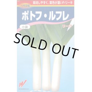 画像: 送料無料　[ねぎ]　リーキ　ポトフ・ルフレ　40粒　渡辺農事