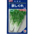 画像1: 送料無料　[葉物]　水菜　京しぐれ　20ml　タキイ種苗 (1)