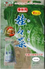 画像: 送料無料　[白菜]　娃々菜　春秋用　1g(約300粒)　トキタ種苗(株)