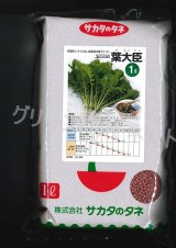 画像: [大根]　葉ダイコン　葉大臣　1L　(株)サカタのタネ