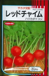 画像: 送料無料　[大根]　はつかだいこん　レッドチャイム　20ml　(株)サカタのタネ