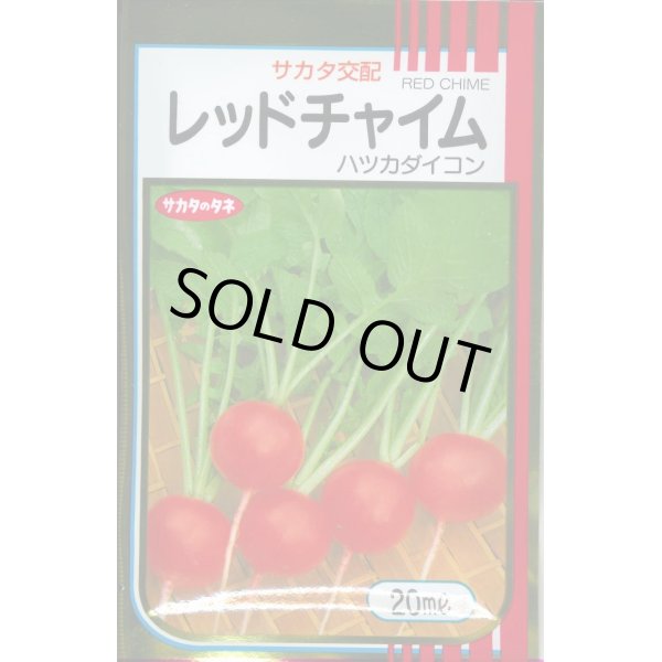 画像1: 送料無料　[大根]　はつかだいこん　レッドチャイム　20ml　(株)サカタのタネ (1)