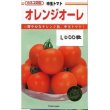 画像1: 送料無料　[トマト/中玉トマト]　オレンジオーレ　1000粒　カネコ交配 (1)