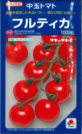 画像: 送料無料　[トマト/中玉トマト]　フルティカ　1000粒　タキイ種苗(株)