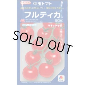 画像: 送料無料　[トマト/中玉トマト]　フルティカ　1000粒　タキイ種苗(株)