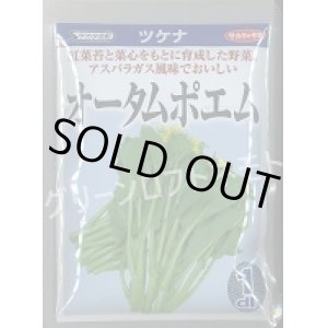 画像: 送料無料　[葉物]　オータムポエム　1dl　（株）サカタのタネ