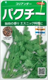 画像: 送料無料　[ハーブの種]　パクチー　約250粒　(株)サカタのタネ　実咲（002996）