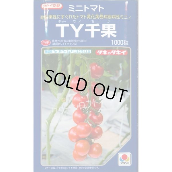 画像1: 送料無料　[トマト/ミニトマト]　ＴＹ千果　ペレット2L1000粒　タキイ種苗(株) (1)