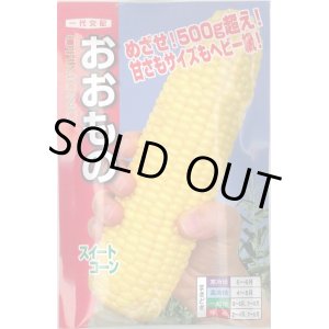 画像: 送料無料　[とうもろこし]　おおもの　200粒　ナント種苗(株)