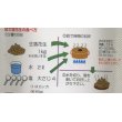 画像2: [落花生]　郷の香　1L(約700粒)　渡辺農事 (2)